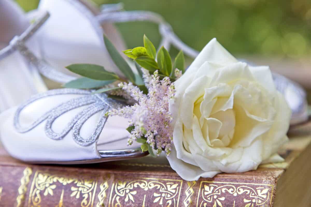 Rose buttonhole for the groom from Fabulous Functions UK 