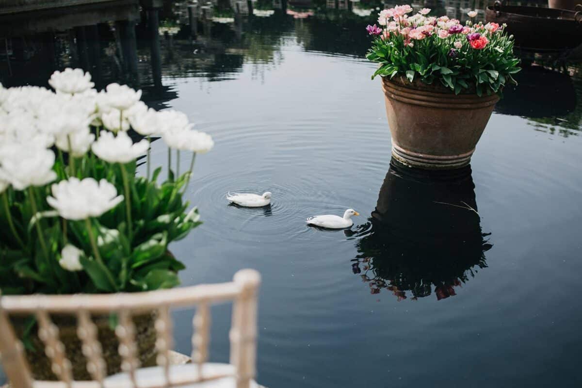 Wiltshire wedding venues Water feature at Euridge Manor