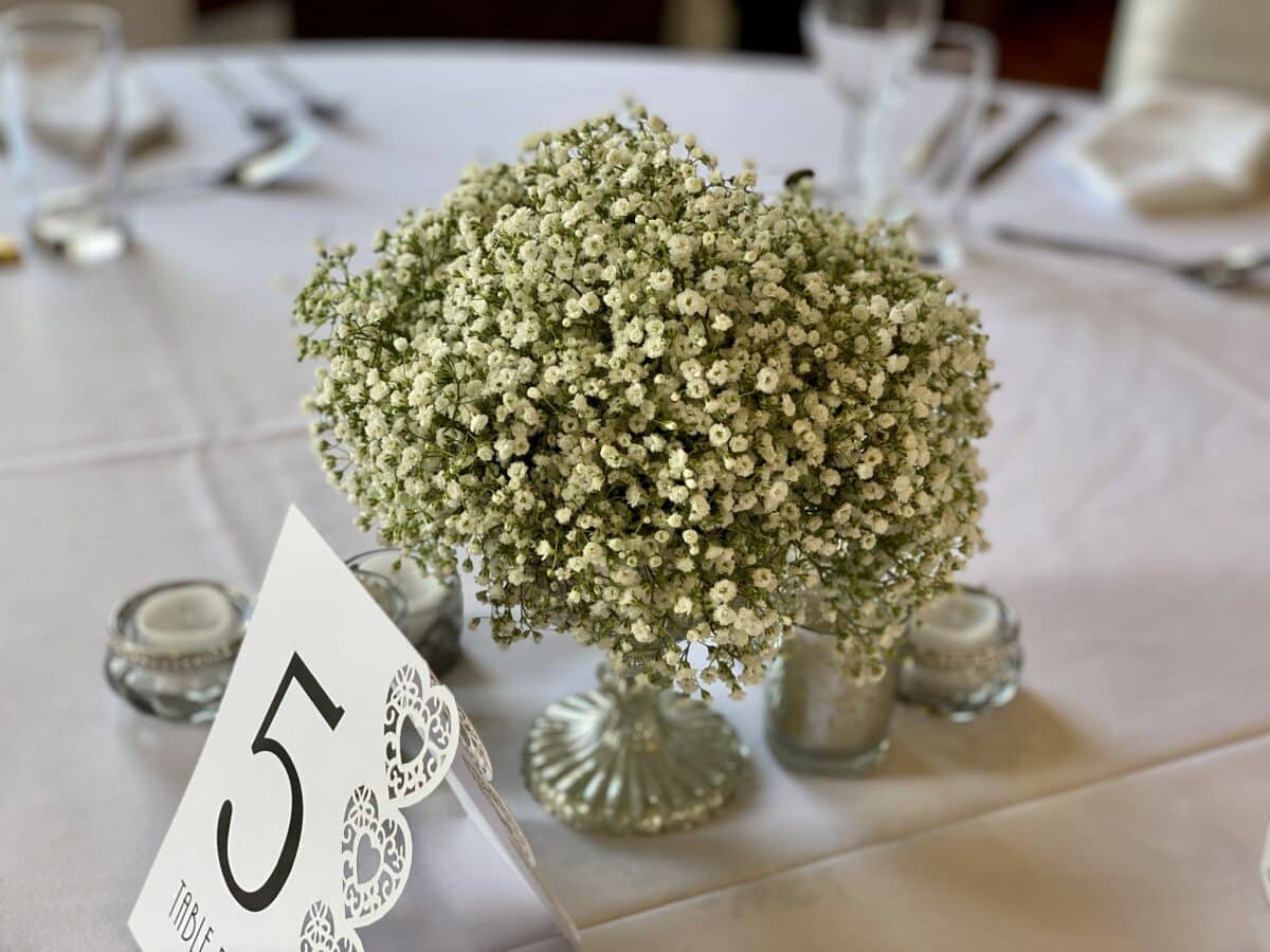 Baby's Breath  or gypsophila is an elegant flowers and made our list of 8 popular wedding flowers. Perfect on its own in a centrepiece or accompanying other florals. 